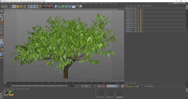 3D model Peach Tree