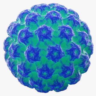 3D model Human Papilloma Virus HPV
