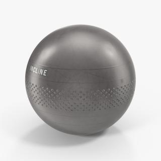 Classic Exercise Ball Chair 3D