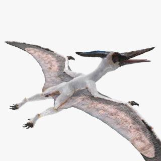 3D model Pterosaur Pteranodon White with Fur