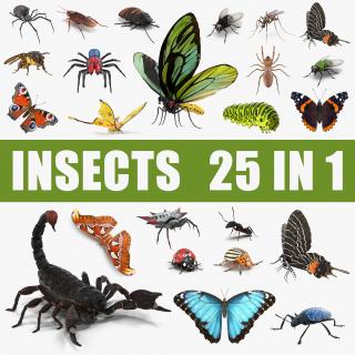 Insects Big Collection 3D