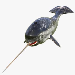 3D Toothed Whale Narwhal Rigged model