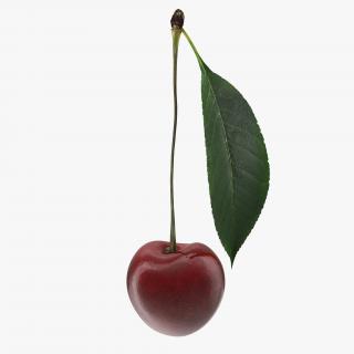3D Cherry with Leaf