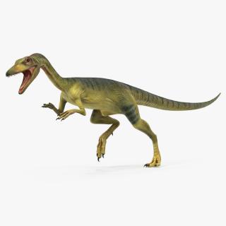 3D Compsognathus Dinosaur Run Pose