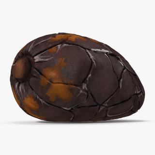 3D model Cacao Bean