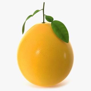 Pomelo Fruit Orange 3D model