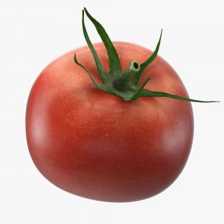 3D model Tomato