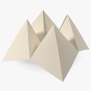 Cootie Catcher Origami 3D