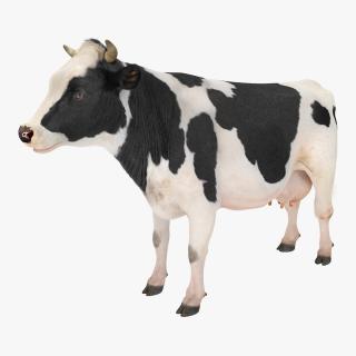 3D Dairy Cow with Fur model