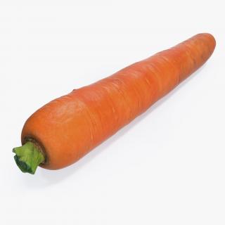 3D model Carrot
