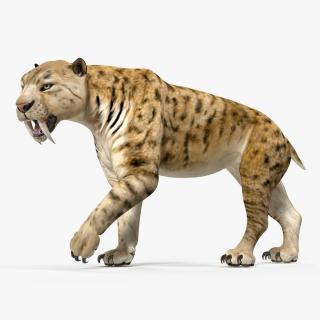 3D model Saber Tooth Tiger Walking Pose