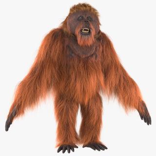 3D model Orangutan Rigged Fur