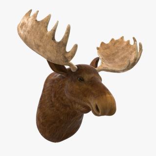 Moose Head Trophy 3D