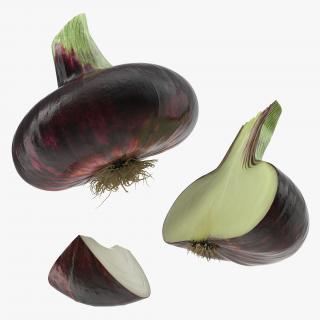 3D model Red Onion Collection