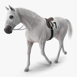 White Racehorse Gait Pose Fur 3D model