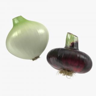 3D Onion Collection