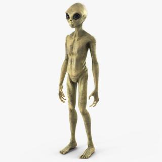 Humanoid Alien Standing Pose Fur 3D