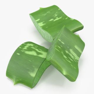 3D Aloe Pieces