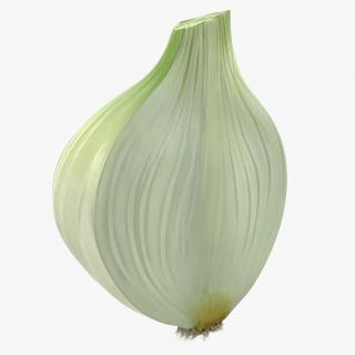 3D model Half Onion