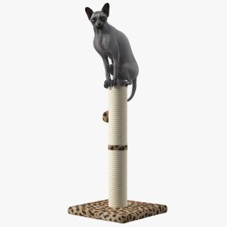 Cat Sitting On A Scratching Post 3D