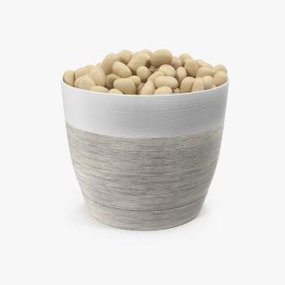 3D model Pot with Stones