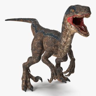 Velociraptor Attacking Pose 3D
