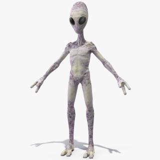 Humanoid Alien 3D model