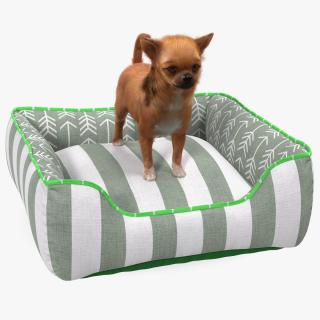 Chihuahua in Dog Bed with Fur 3D model