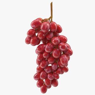 Cluster of Pink Grapes 3D