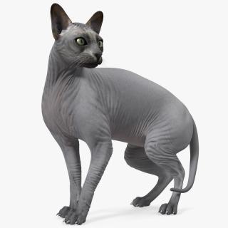 3D Sphynx Cat Black