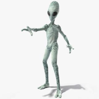 Extraterrestrial Alien Rigged 3D model