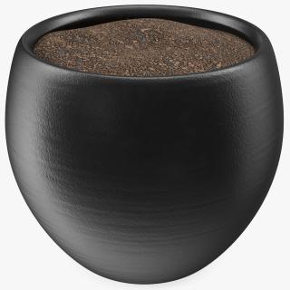 3D Ceramic Plant Pot Black model