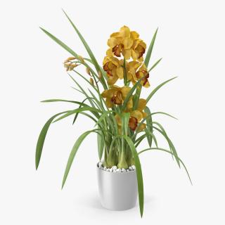 3D Orchid Pot Flower Yellow Fur model
