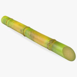 3D Green Sugarcane Stick