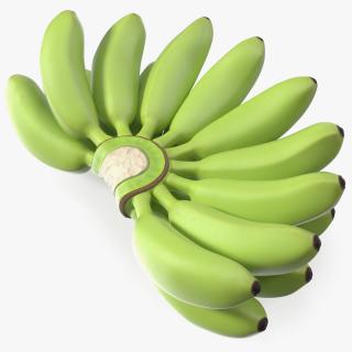 3D model Unripe Green Banana Bunch