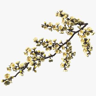 3D Yellow Cherry Blossom Branch model