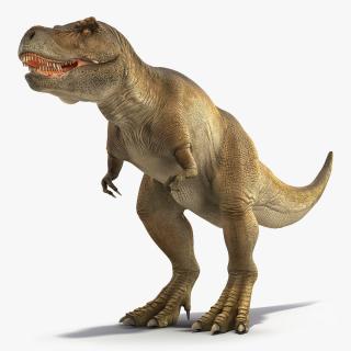 3D Animated Tyrannosaurus Rex Waiting Rigged