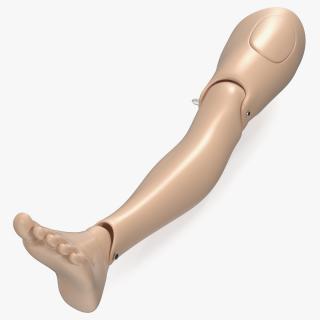 3D model First Aid Training Manikin Leg