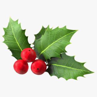 Isolated Holly Berry With Leaves 3D