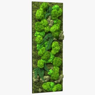 3D Natural Moss Wall with Preserved Plants Fur model