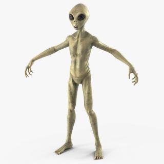 Humanoid Alien Creature Fur 3D
