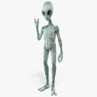 3D Extraterrestrial Alien Greeting Pose