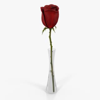 3D Red Rose in Vase