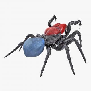 3D Mouse Spider Fighting Pose