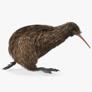 Run Pose Kiwi Bird Fur 3D