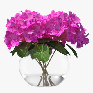 3D model Hydrangea Macrophylla Pink Annabelle in Glass Vase