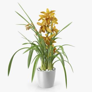 3D Yellow Orchid Flower Pot Fur model