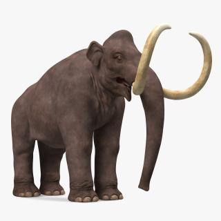 3D Mammoth Adult model