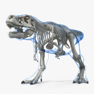 Tyrannosaurus Rex Skeleton with Skin Walking Pose 3D model