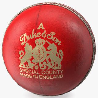 Cricket Ball Duke And Son Fur 3D model
